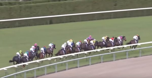 秋華賞2018レース回顧、アーモンドアイ牝馬三冠達成！ | 浅次郎の